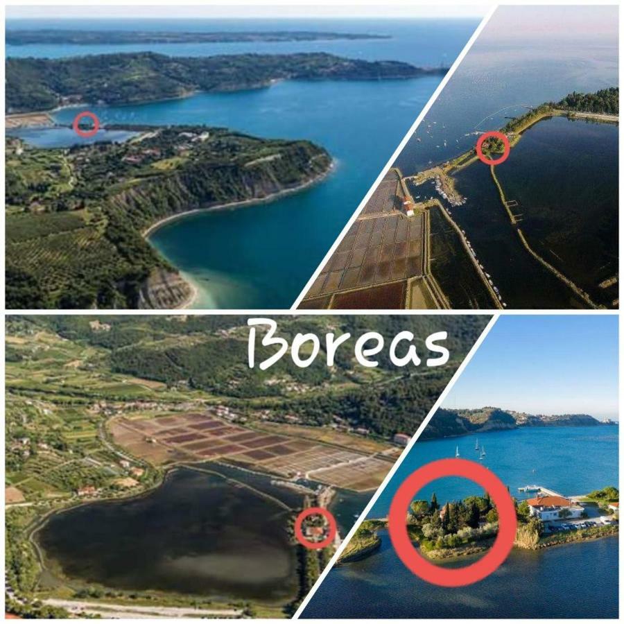 Apartment Boreas Strunjan Exteriér fotografie
